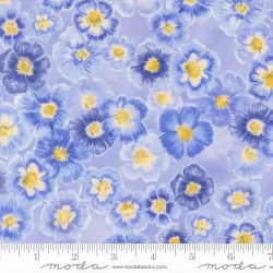 Delphinium - Auricula Bluebell - PRE-ORDER DUE APRIL Delphinium - Auricula Bluebell - PRE-ORDER DUE APRIL